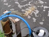 Sonstiges Beregnungsmaschinen und Zubehör Suevia In- en uitfiltratie systeem op zonne-energie