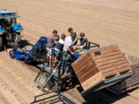 Kartoffelroder SU-Tech aardappellader