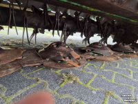 Mähwerk McHale R 3100 maaier