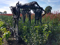 Sonstiges Baumschulmaschinen und Zubehör  snoeimachine steekmachine buxusknipper rondsteekmachine