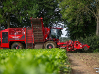 Rübenroder Vervaet Q616