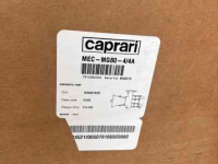Beregnungpumpe Caprari mec mg 80 4/4a