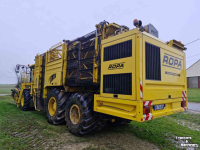 Rübenroder Vervaet Ropa Tiger V8-3 Sugar Beet Harvester / Bietenrooier / Rubenroder