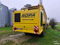 Rübenroder Vervaet Ropa Tiger V8-3 Sugar Beet Harvester / Bietenrooier / Rubenroder