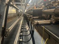 Melkmaschine DeLaval DELAVAL Swingover 2x20