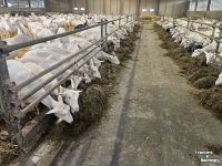 Futterdosiercontainer Sieplo GB1600 ruwvoerverdeler
