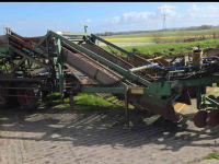 Blumenzwiebelroder Sam Kistenrooier met mat