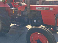 Schlepper / Traktor Same Minitauro 60