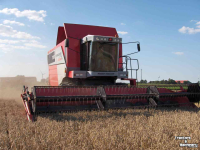 Mähdrescher Massey Ferguson 7278 Cerea