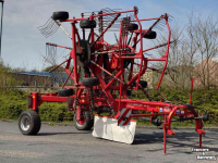 Schwader Lely Hibiscus 855 CD