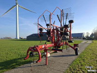 Schwader Lely Hibiscus 715 CD