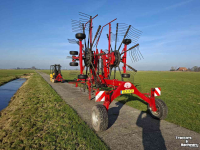 Schwader Lely Hibiscus 715 CD