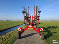 Schwader Lely Hibiscus 715 CD