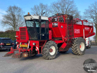 Rübenroder Gilles Beet Master 2000