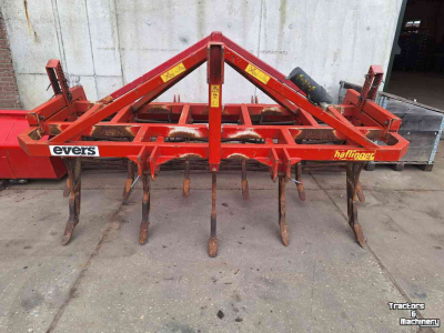 Grubber Evers Haflinger