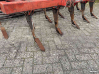 Grubber Evers Cultivator