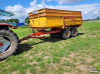 Kipper Miedema Kipper Hst 80