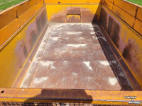 Kipper Miedema Kipper Hst 80