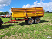 Kipper Miedema Kipper Hst 80