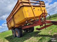 Kipper Miedema Kipper Hst 80