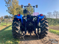 Schlepper / Traktor New Holland T3.60 LP