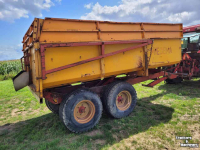 Kipper Miedema Kipper Hst 80