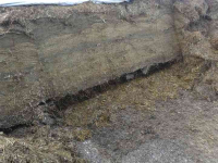 Silageschneidezange Frickelo Kuilhapper