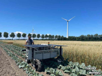 Striegelmaschine  Autonome Laserweeder / Laserwieder / Robotwieder