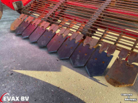 Zwiebelroder Grimme WV 205