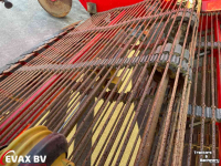 Zwiebelroder Grimme WV 205