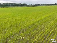 Drillmaschine  SEED2DISC zaaimachine