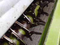 Bodenfräse Baselier FF310