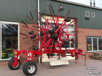 Schwader Lely Hibiscus 855