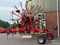 Schwader Lely Hibiscus 855