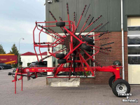 Schwader Lely Hibiscus 855