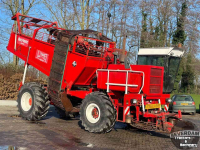 Rübenroder Gilles Beet Master 2000