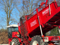 Rübenroder Gilles Beet Master 2000