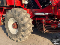 Rübenroder Gilles Beet Master 2000