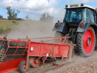 Zwiebelroder Grimme wv165