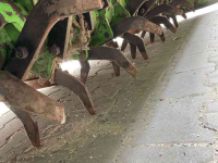 Dammfräse AVR Multivator 4X75