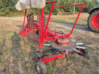 Schwader Lely Hibiscus 425