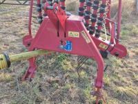 Schwader Lely Hibiscus 425