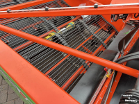 Zwiebelroder Holaras UR 205-HZ UIENROOIER