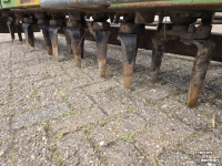 Kreiselegge Celli Ranger 300 rotorkopeg