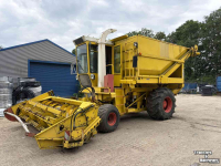 Feldhäcksler Hesston Field queen rear dump