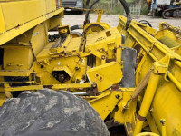 Feldhäcksler Hesston Field queen rear dump