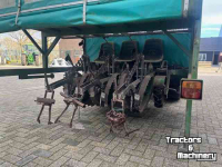 Pflanzmaschine Fedele plantmachine 3 rijen / 6 rijen