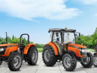 Obsttraktor TAFE Tafe tractor |  frontlader mogelijk