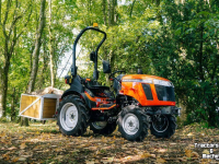 Obsttraktor TAFE Tafe tractor |  frontlader mogelijk