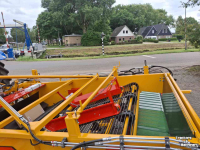 Zwiebelroder Samon SU2H1 en Su225F
